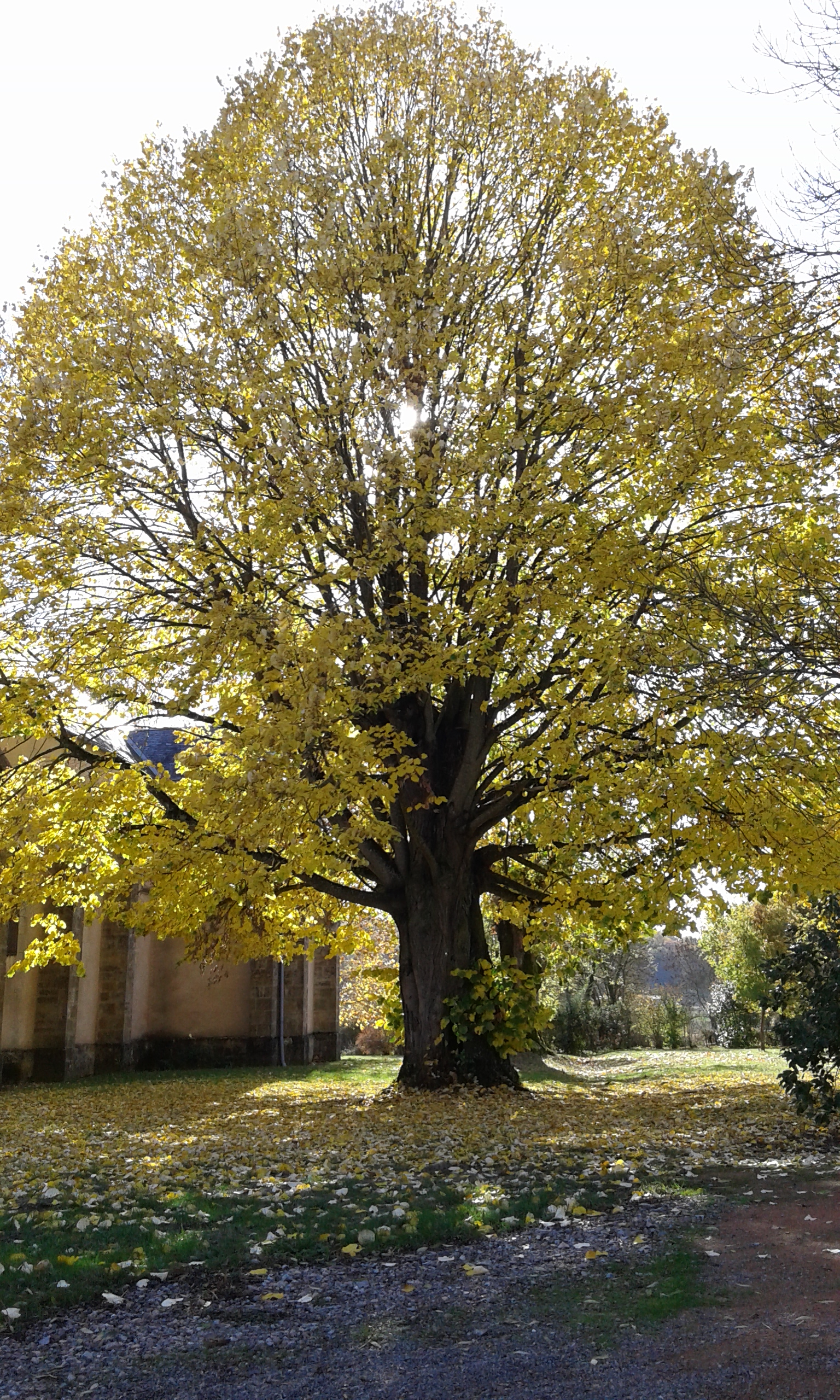 Logo Commune de Fertrève